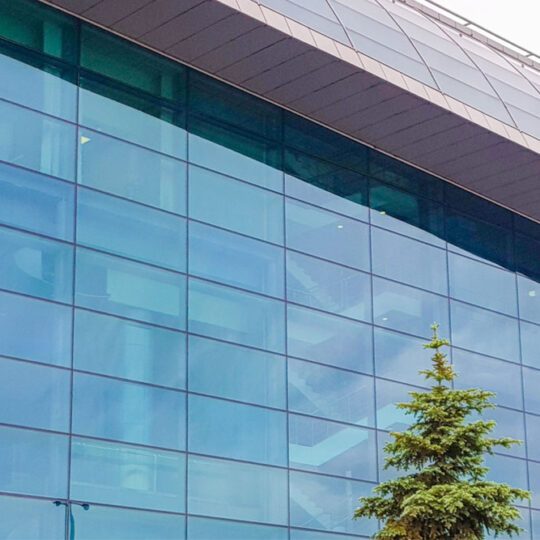 A blue reflective glass facade with a conifer in front of it