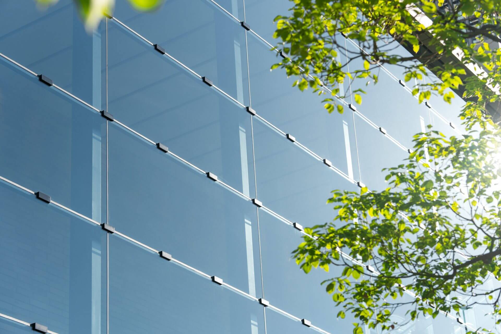 A curtain wall facade reflecting sky and trees